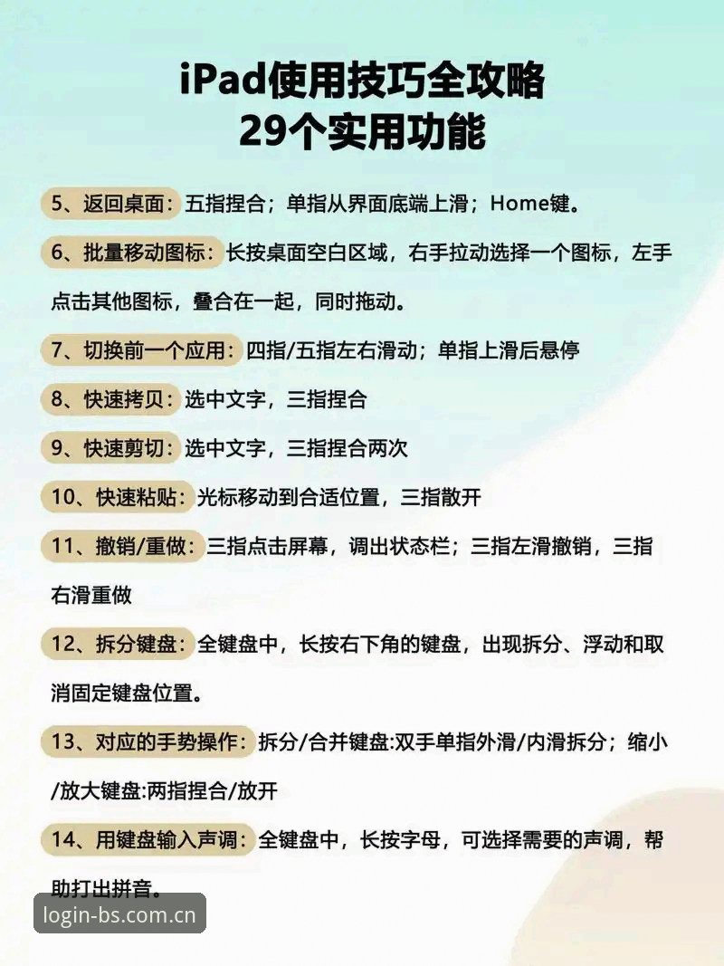 bsport怎么样？从新手到老手的全面解析与使用指南